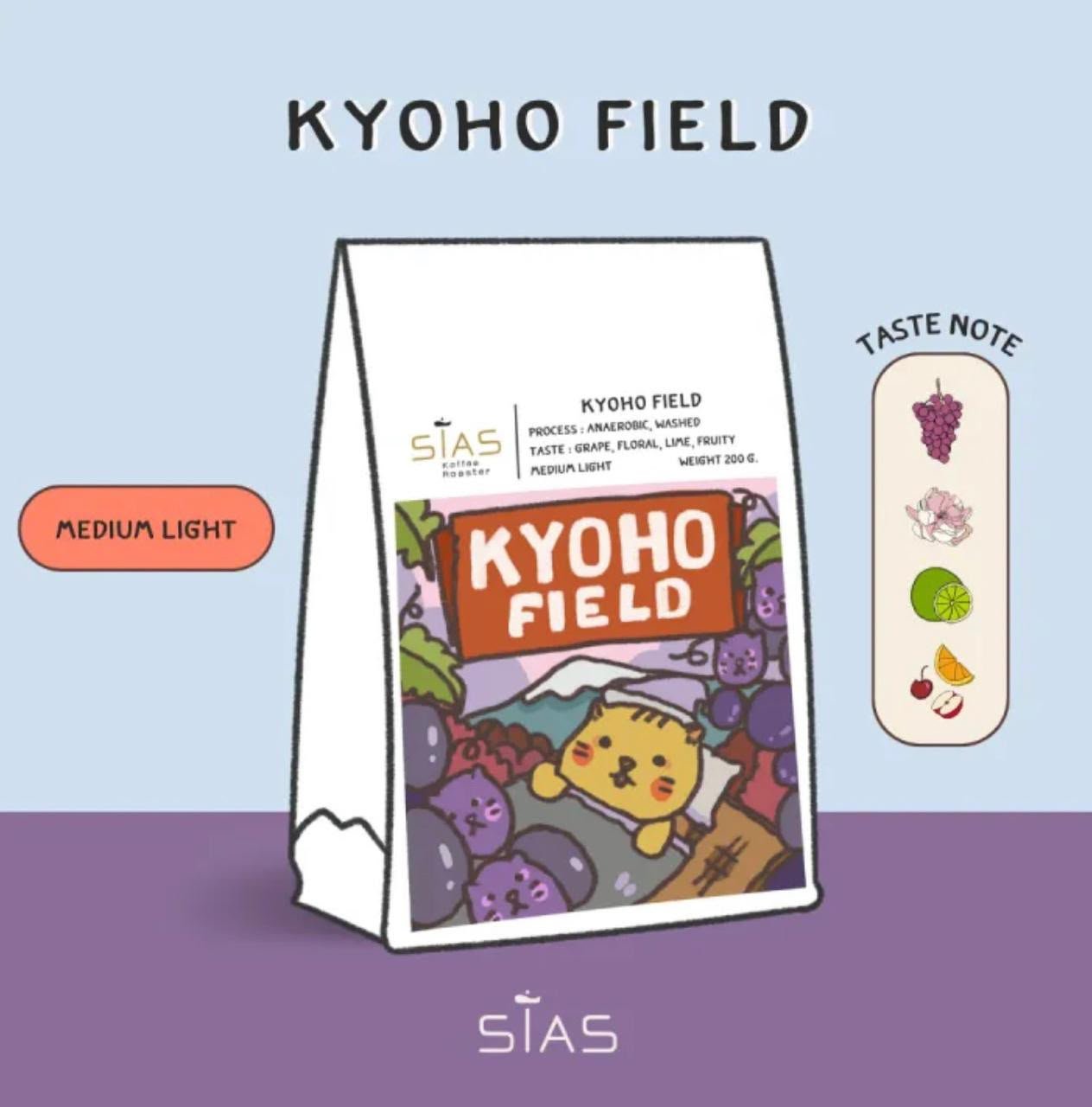 SISAS-koyoho field