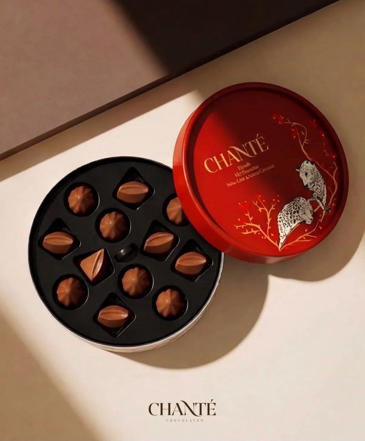 chantilly-mini-mix chocolate