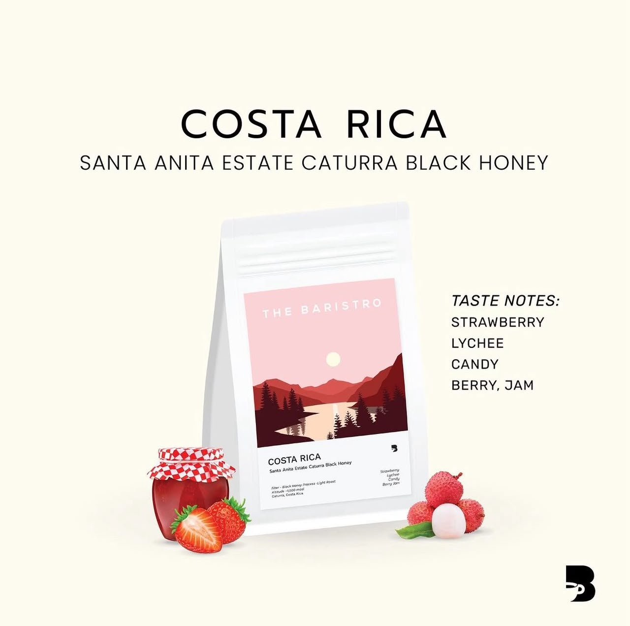 The Baristo  Costa Rica