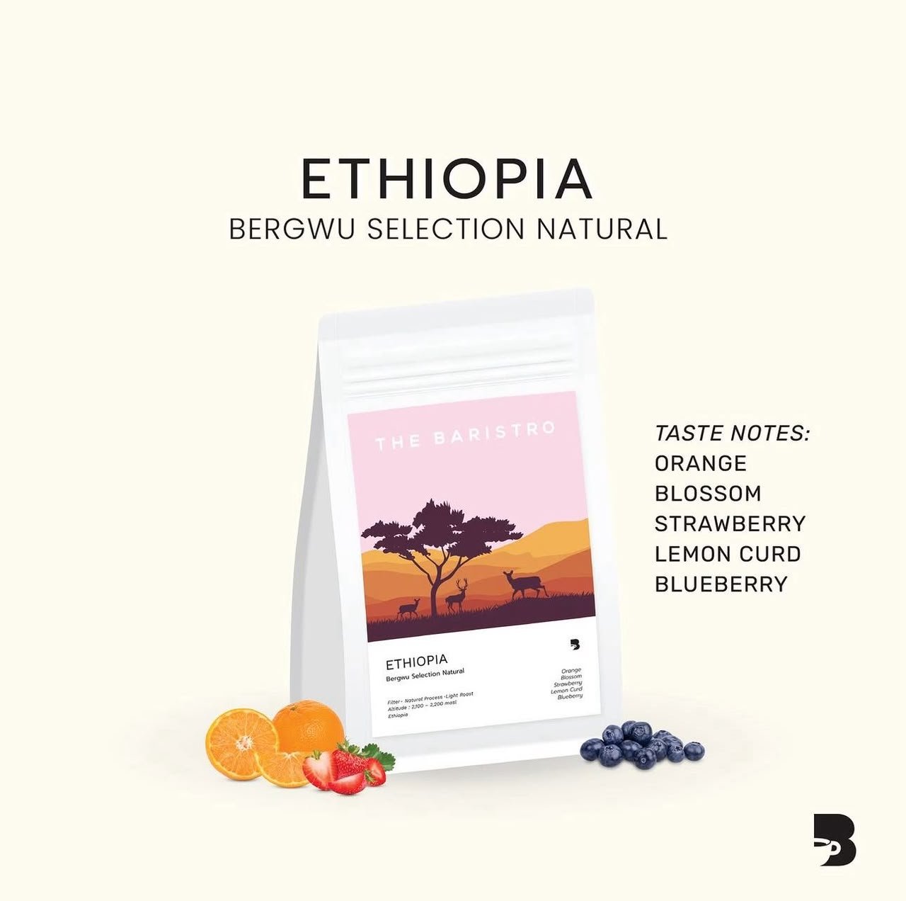 The Baristo  ETHIOPIA